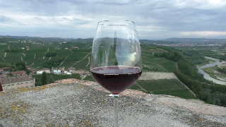 Vendemmia, in Piemonte +5% e qualità uve molto buona
